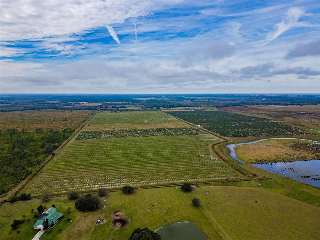 0 Johnston Road Zolfo Springs, FL 33890 - Photo 15 of 16 Gallery Image 15