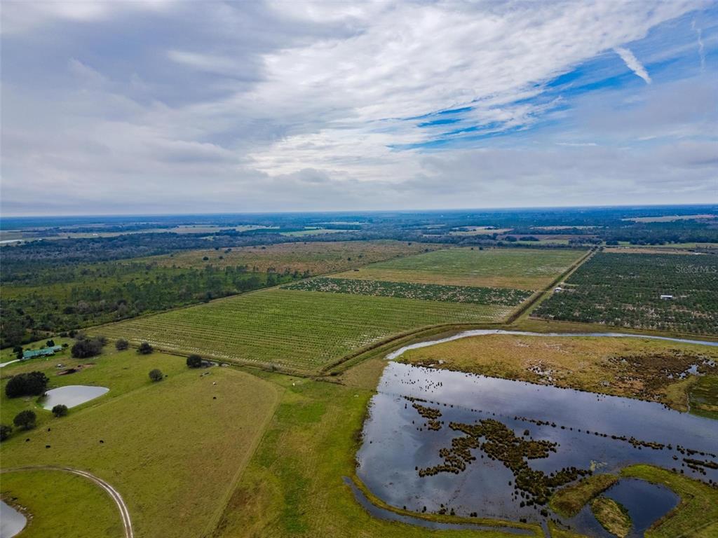 0 Johnston Road Zolfo Springs, FL 33890 - Photo 8 of 16 Gallery Image 8