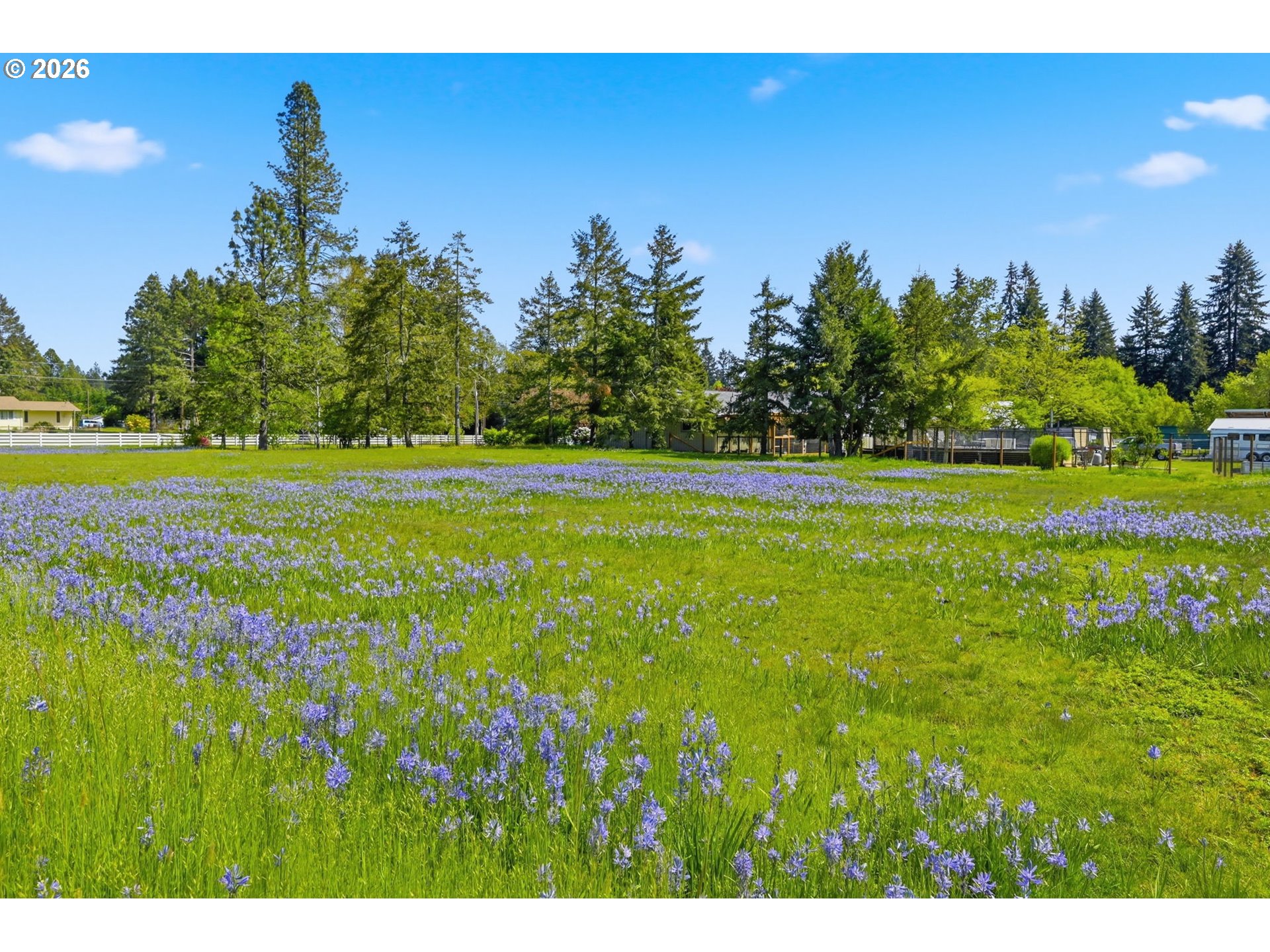 88160 Huston Road Veneta, OR 97487 - Photo 3 of 38 Gallery Image 3
