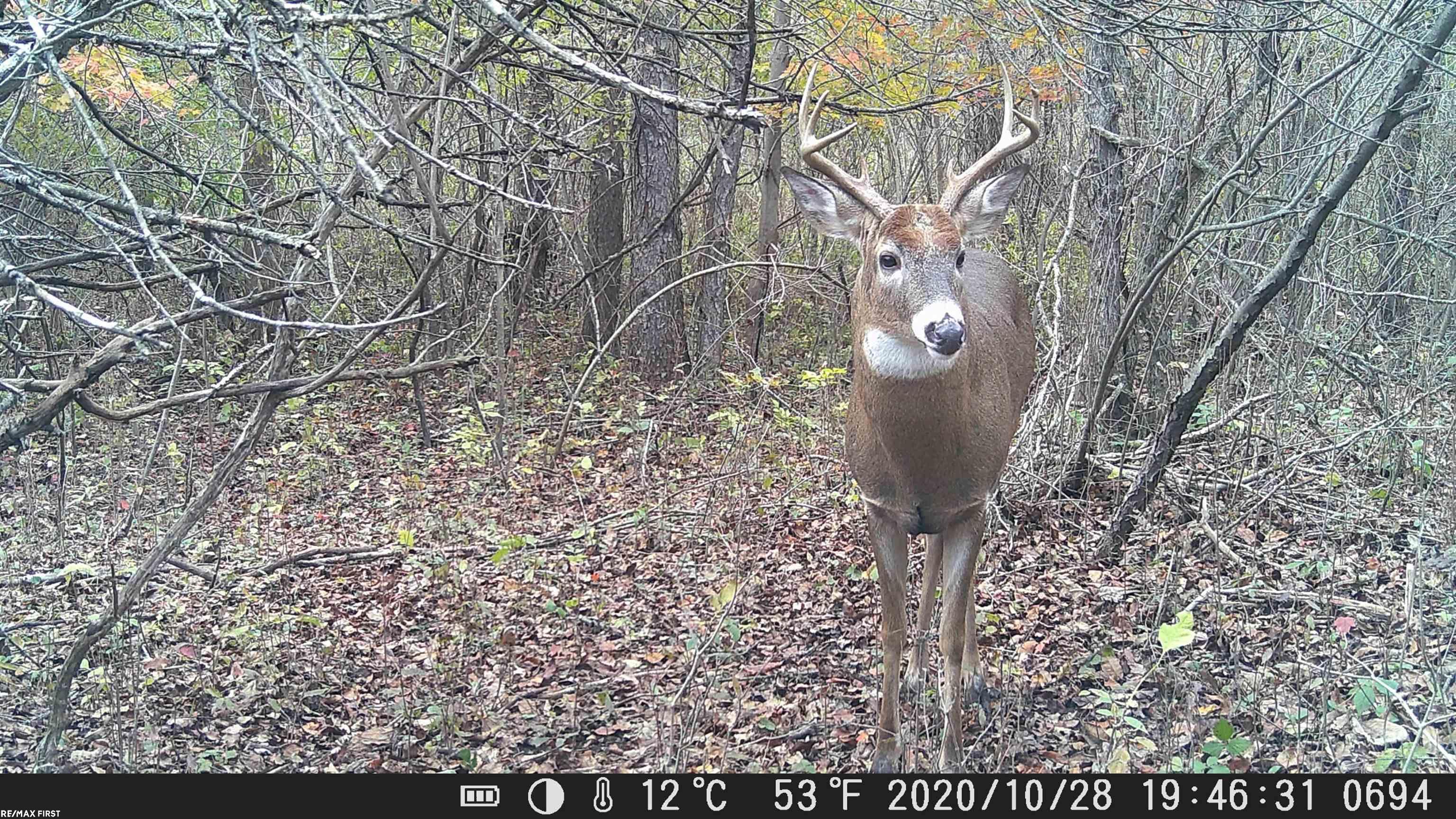 4919 Piersonville Road Columbiaville, MI 48421 - Photo 16 of 16 Gallery Image 16