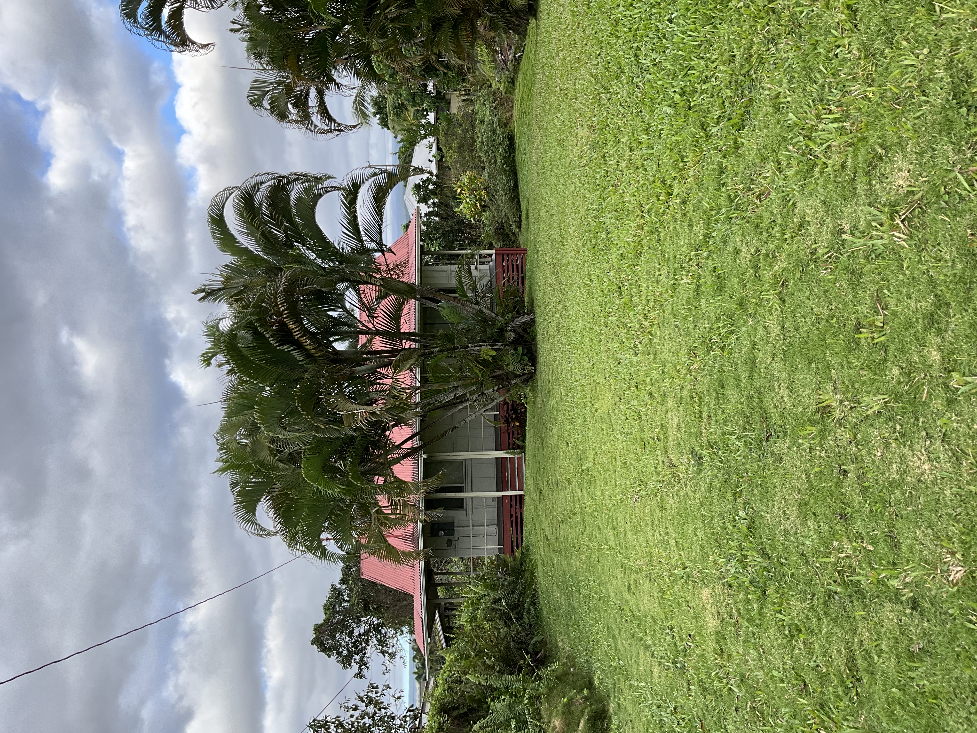 568 Kalanikoa Street, Unit 2 Hilo, HI 96720 - Photo 17 of 24 a view of a garden