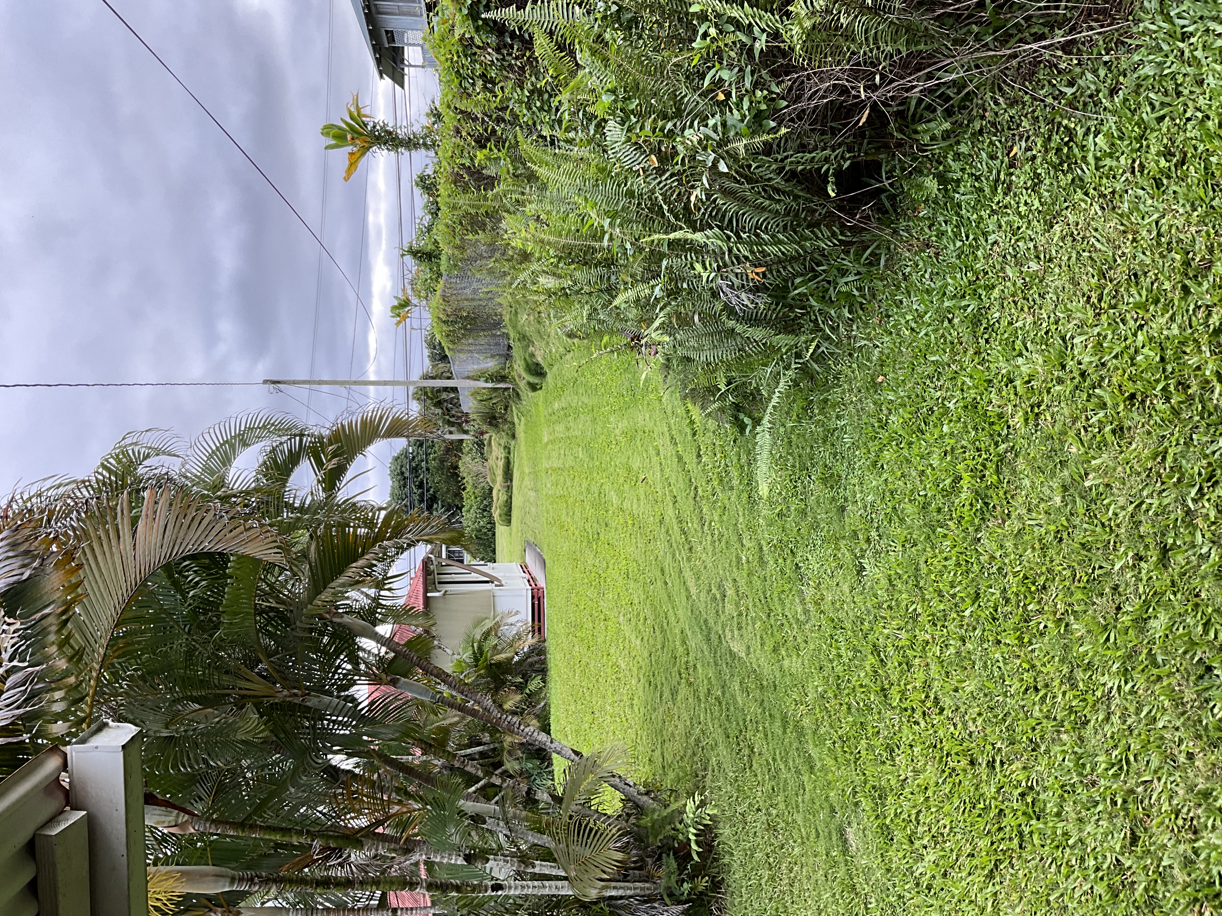 568 Kalanikoa Street, Unit 2 Hilo, HI 96720 - Photo 24 of 24 a view of a garden