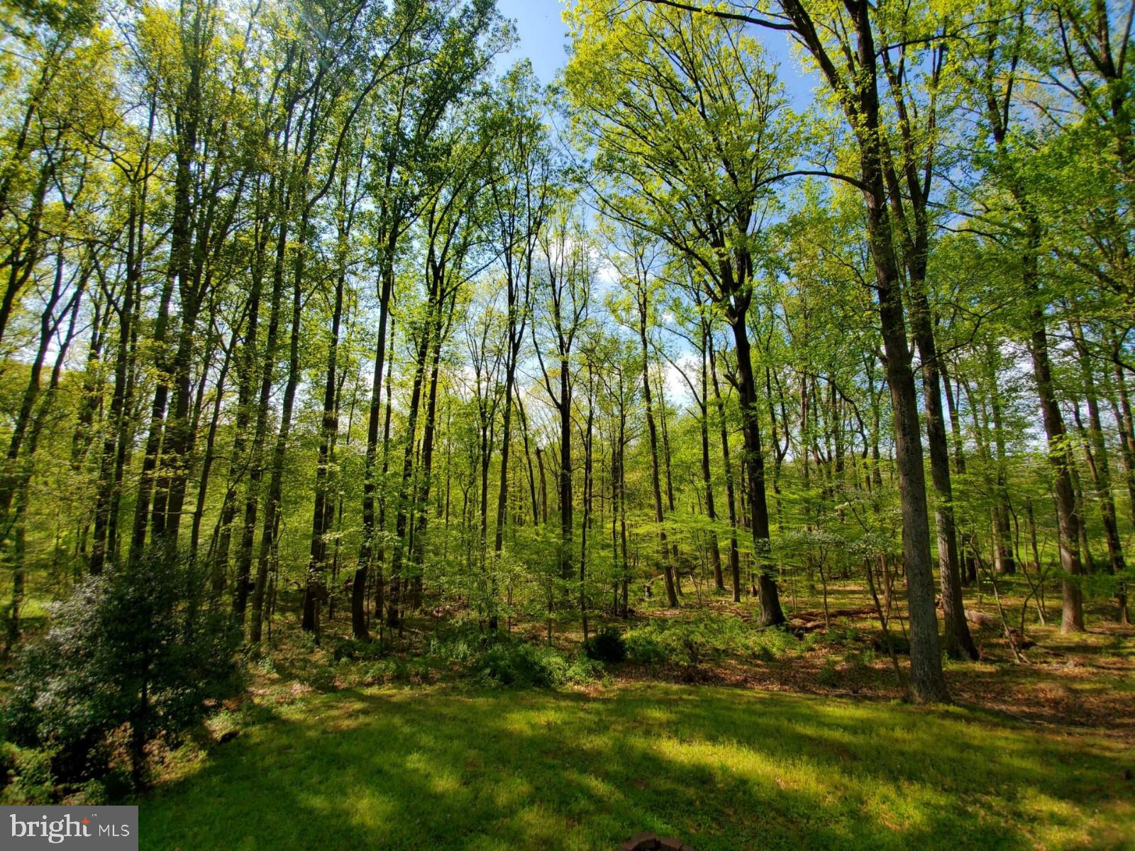 10101 Lloyd Road Potomac, MD 20854 - Photo 62 of 65
