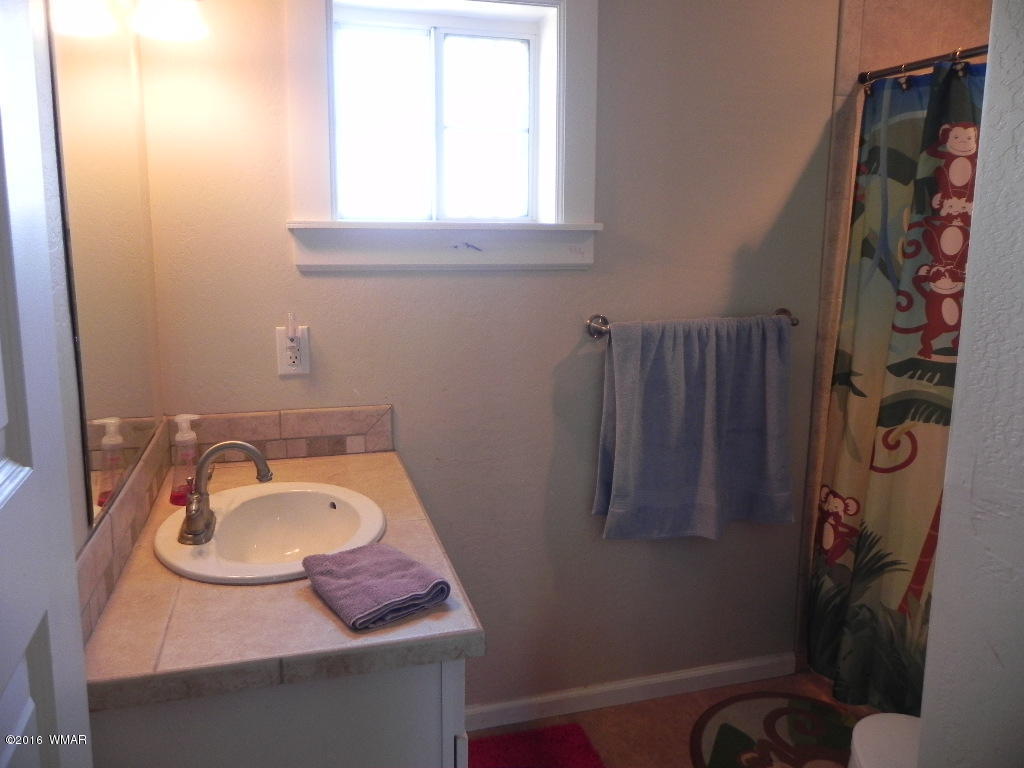 7540 Shumway Road Show Low, AZ 85901 - Photo 24 of 42