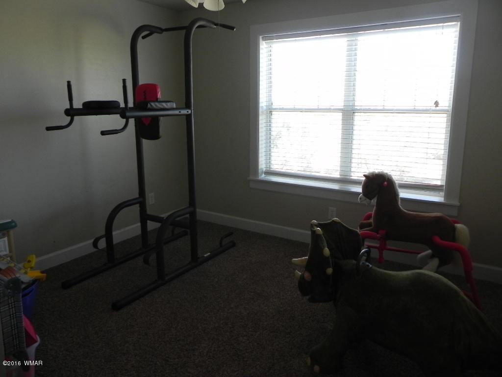 7540 Shumway Road Show Low, AZ 85901 - Photo 27 of 42