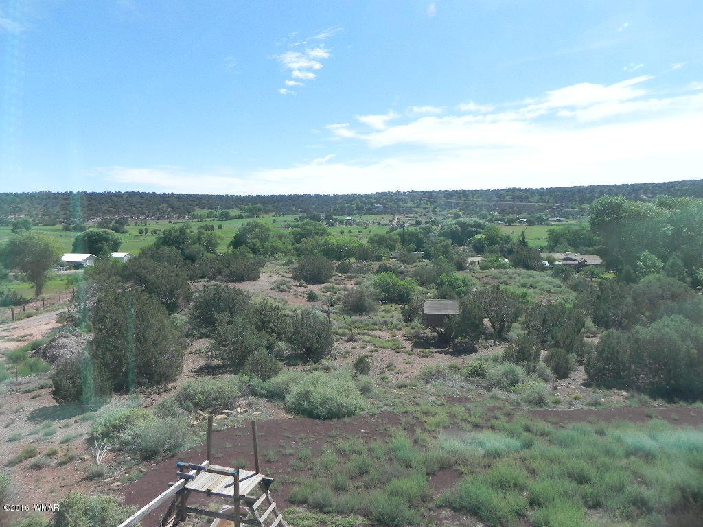 7540 Shumway Road Show Low, AZ 85901 - Photo 33 of 42