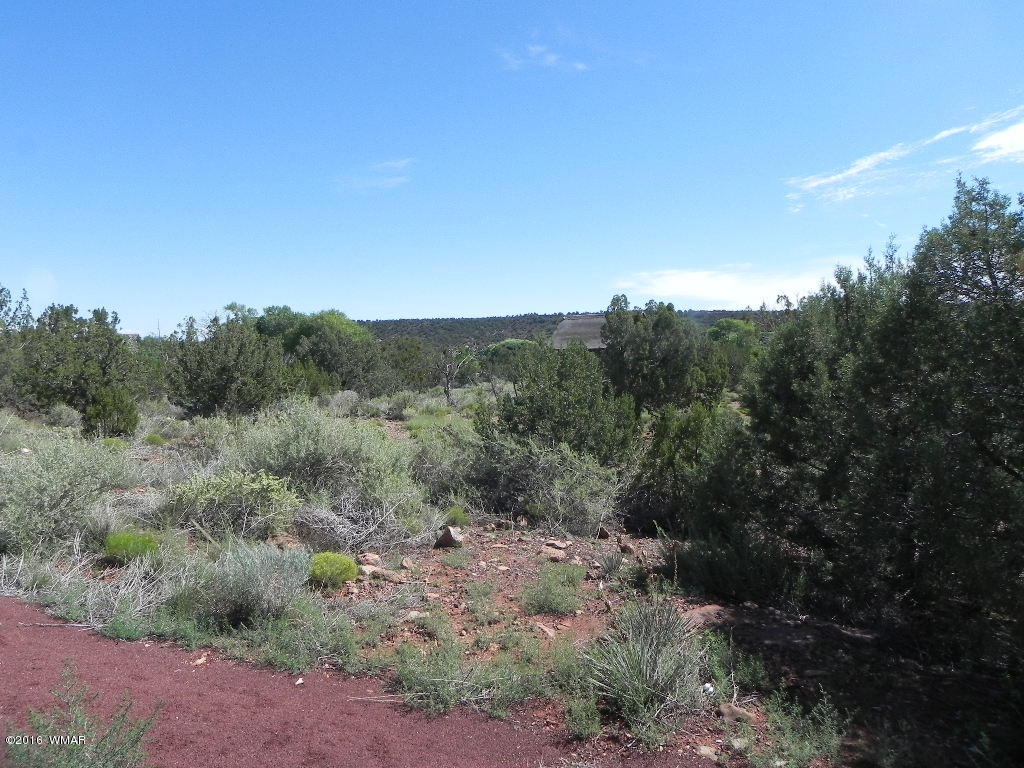 7540 Shumway Road Show Low, AZ 85901 - Photo 41 of 42