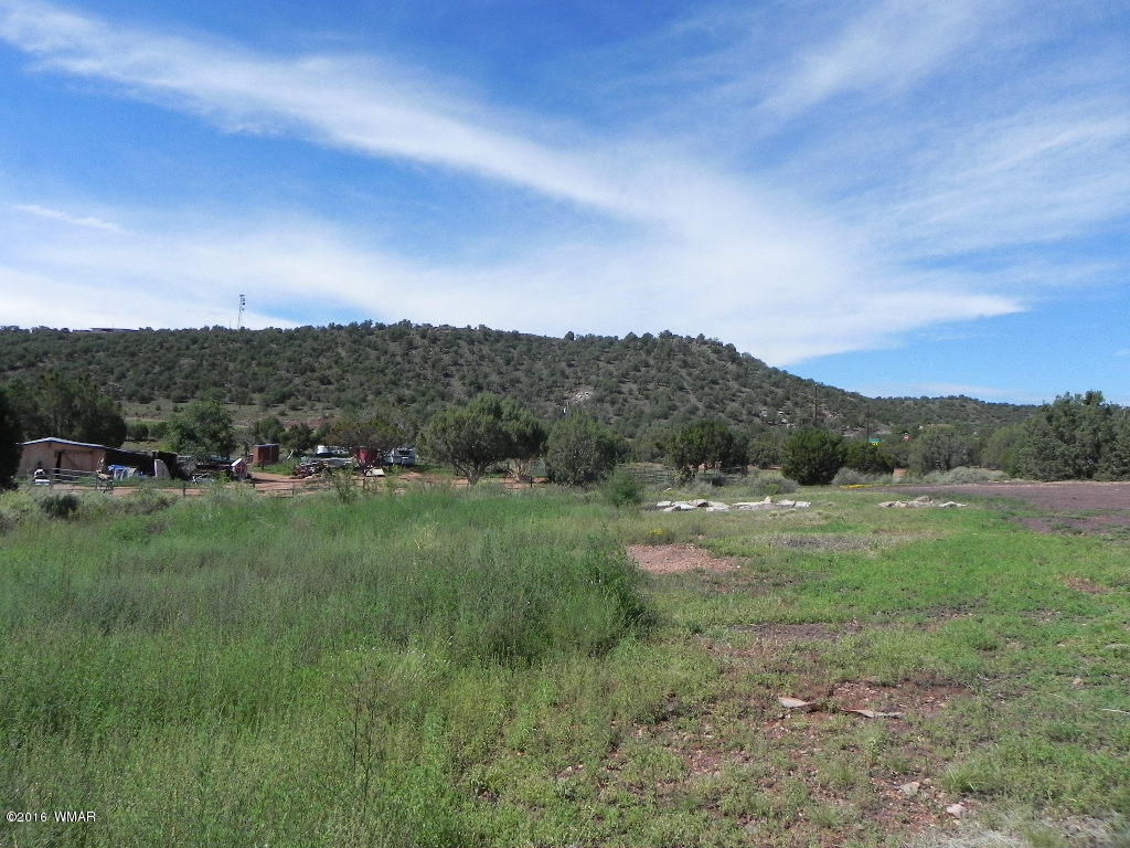 7540 Shumway Road Show Low, AZ 85901 - Photo 42 of 42