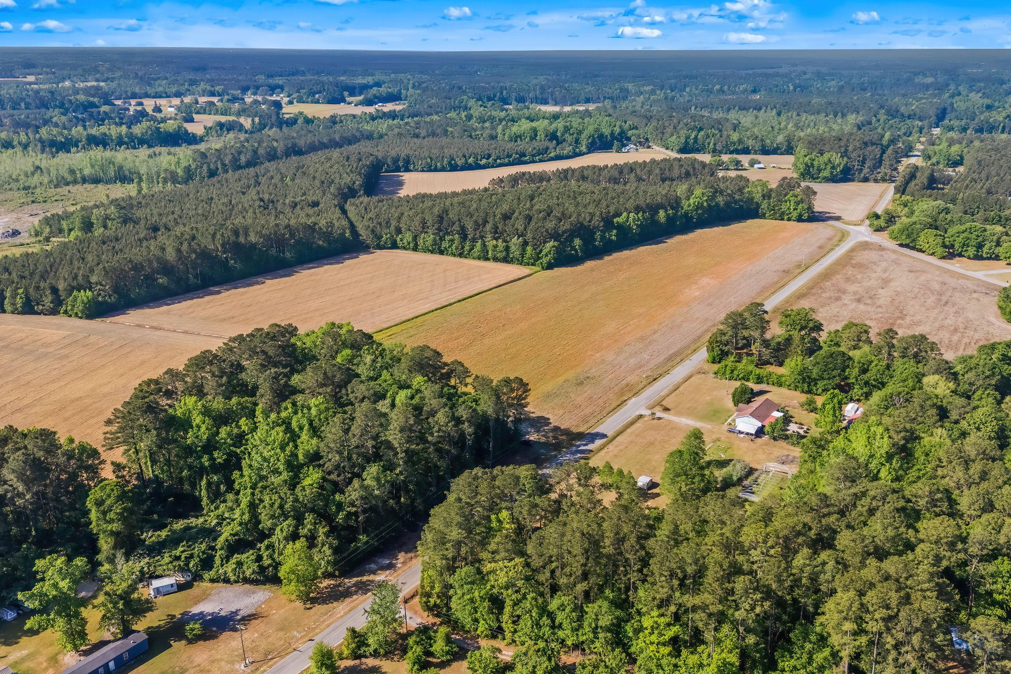 Tbd Ray Road Hemingway, SC 29554 - Photo 3 of 24