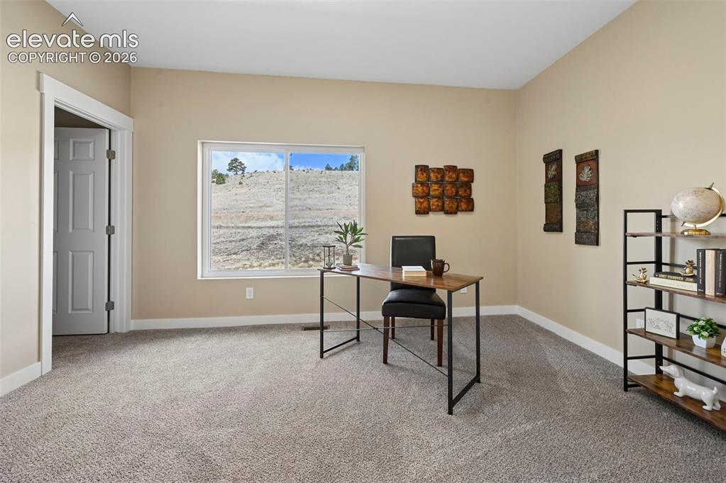 108 High Pasture Road Florissant, CO 80816 - Photo 26 of 39