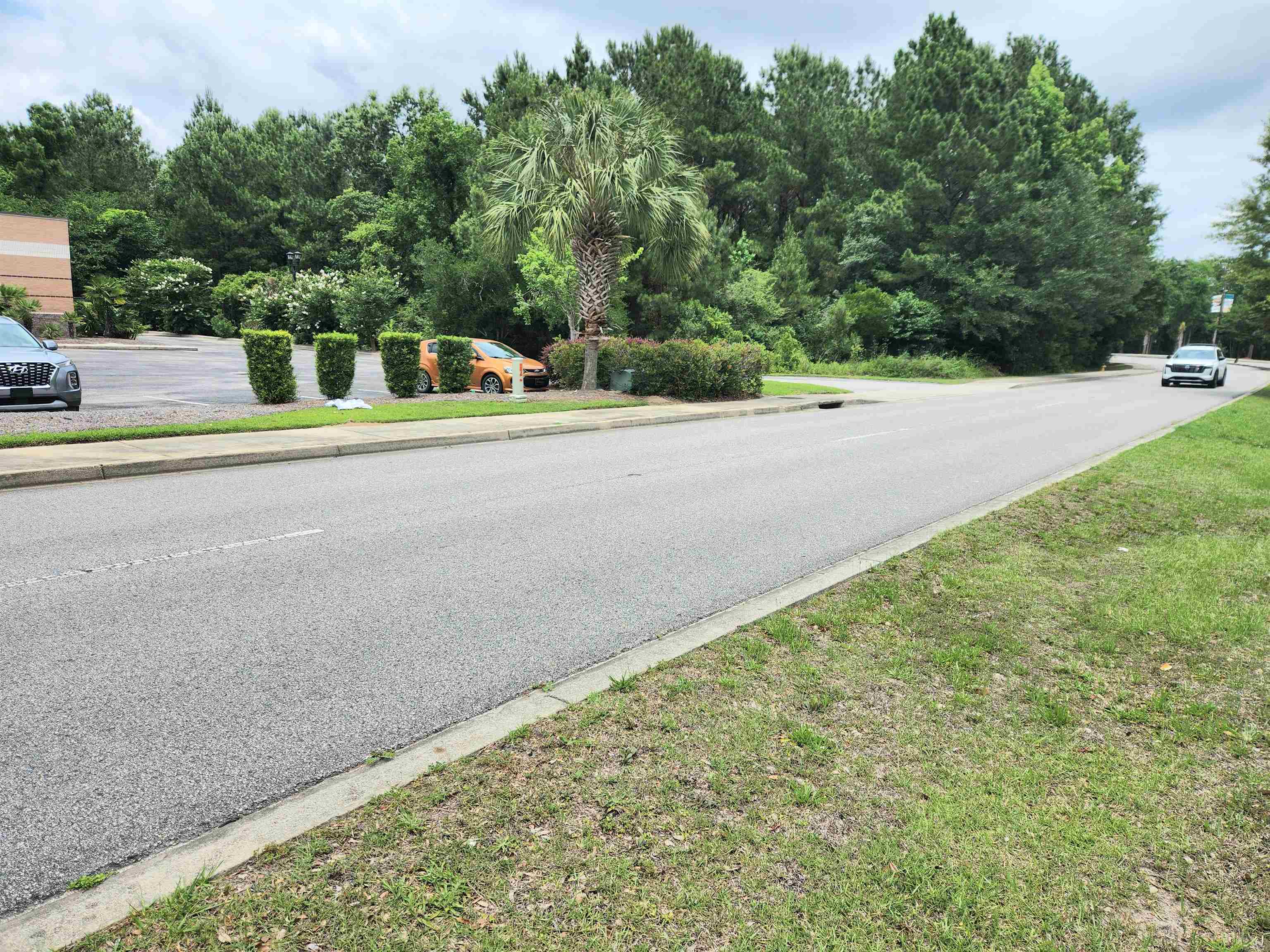 Lot 10 Mill Pond Road Conway, SC 29527 - Photo 7 of 24