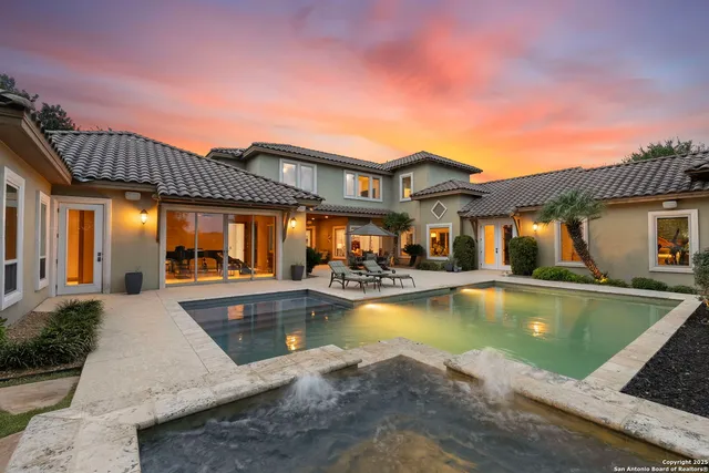 a view of a garden with plants