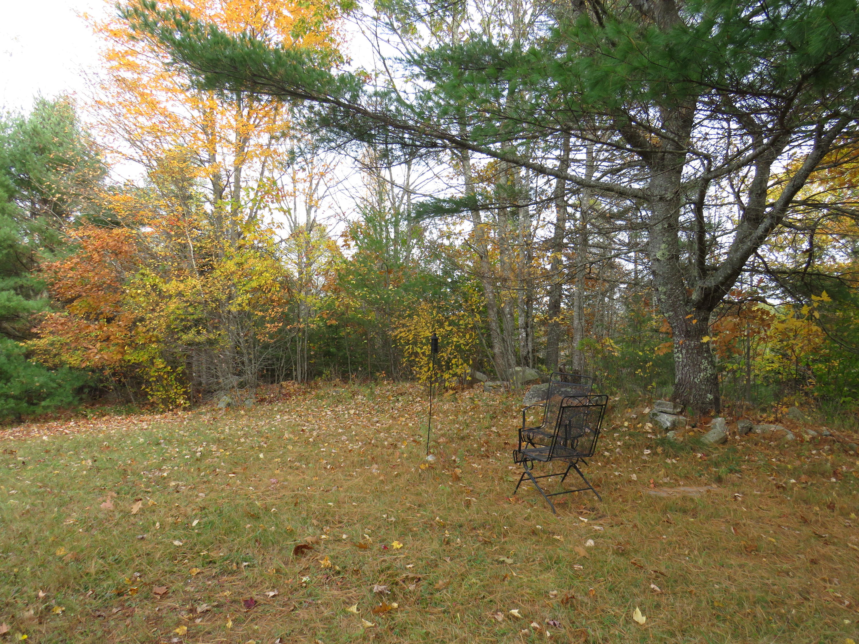 1499 Collinstown Road Appleton, ME 04862 - Photo 4 of 24 IMG_7569