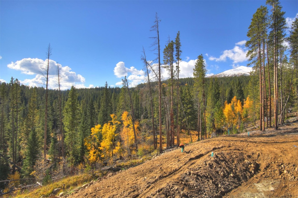 233 Barton Ridge Drive Breckenridge, CO 80424 - Photo 12 of 13 a view of a pathway of a house with a yard