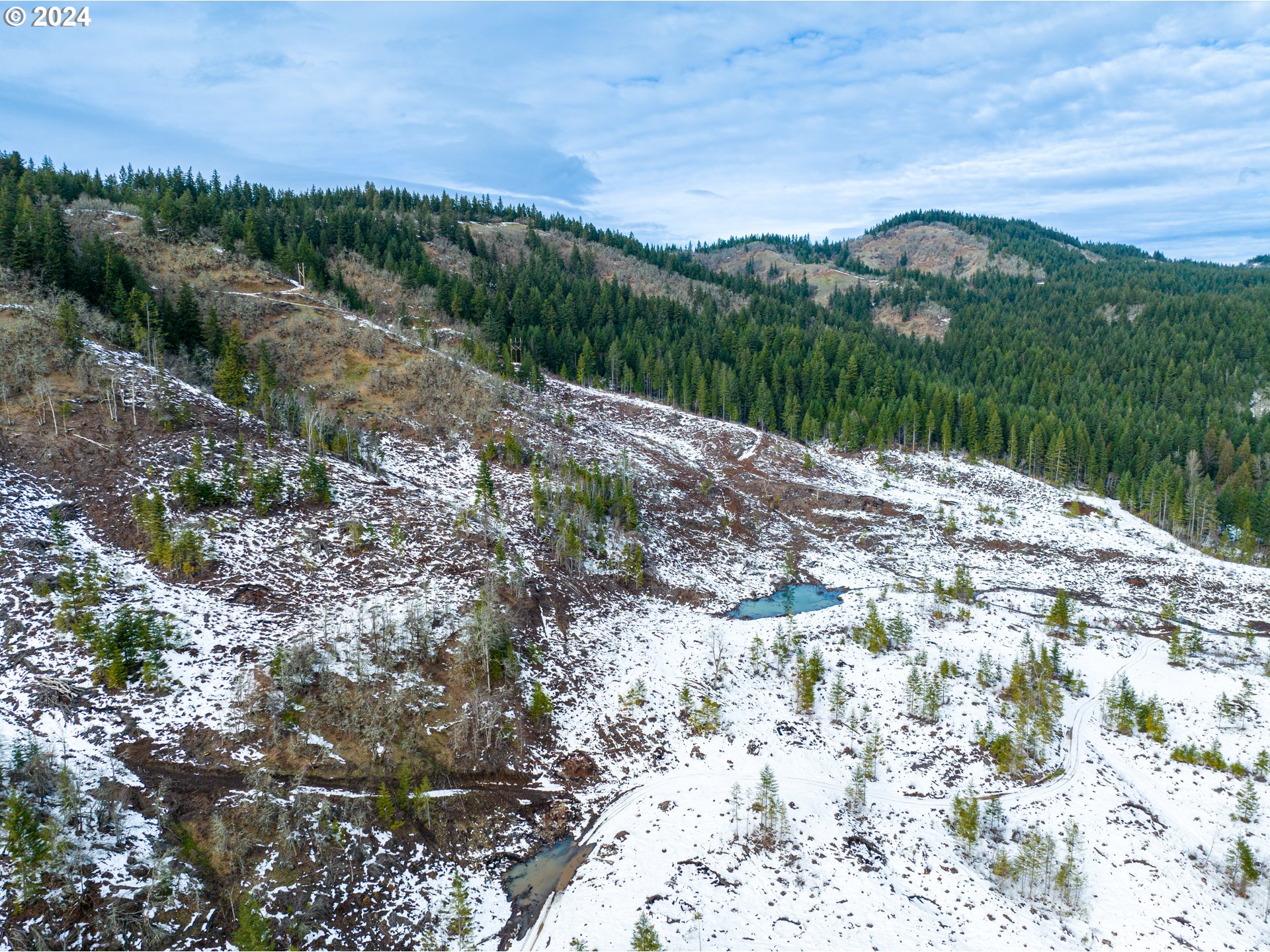 601 Rattlesnake Road White Salmon, WA 98672 - Photo 3 of 9 Gallery Image 3