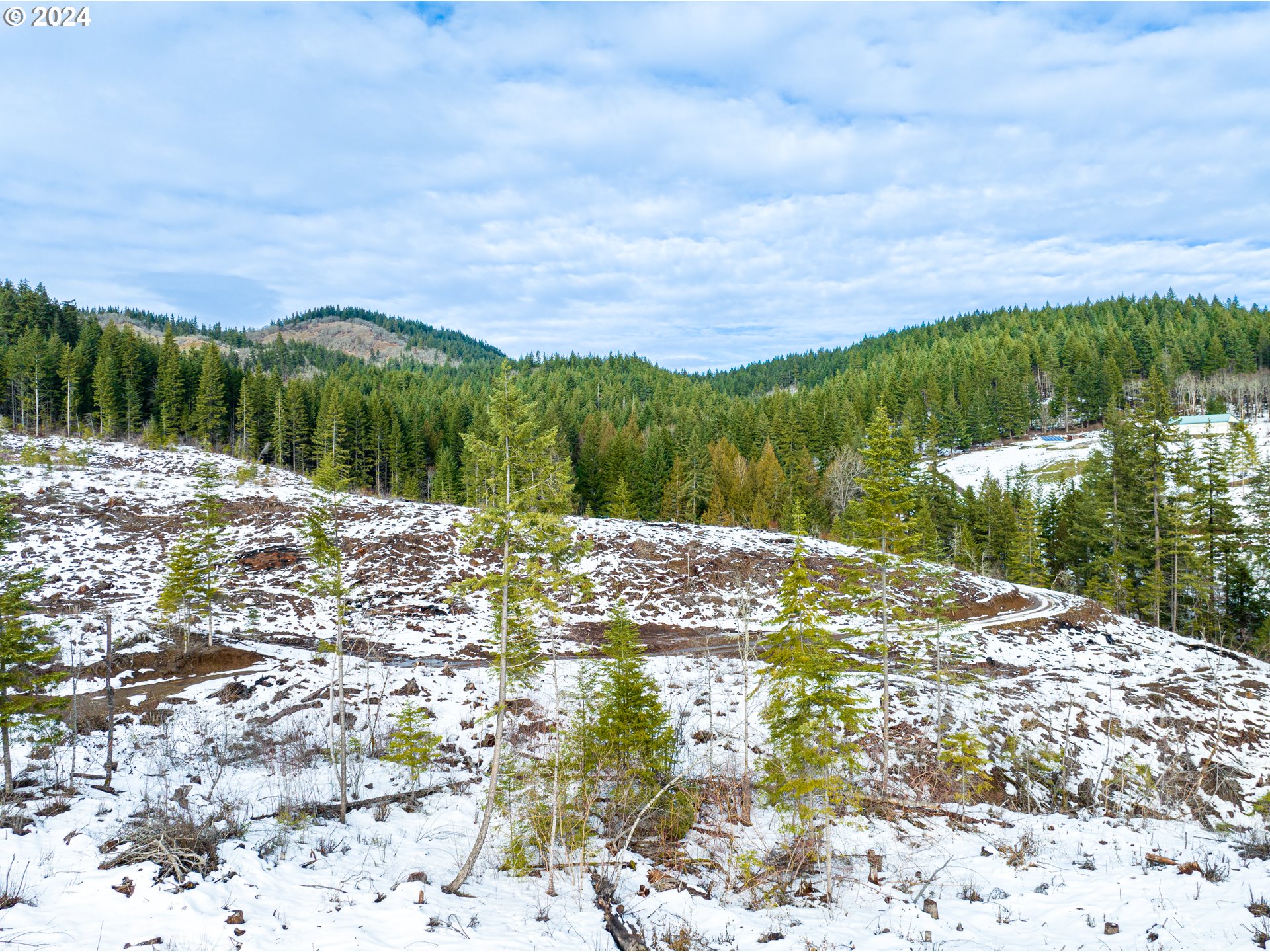 601 Rattlesnake Road White Salmon, WA 98672 - Photo 6 of 9 Gallery Image 6