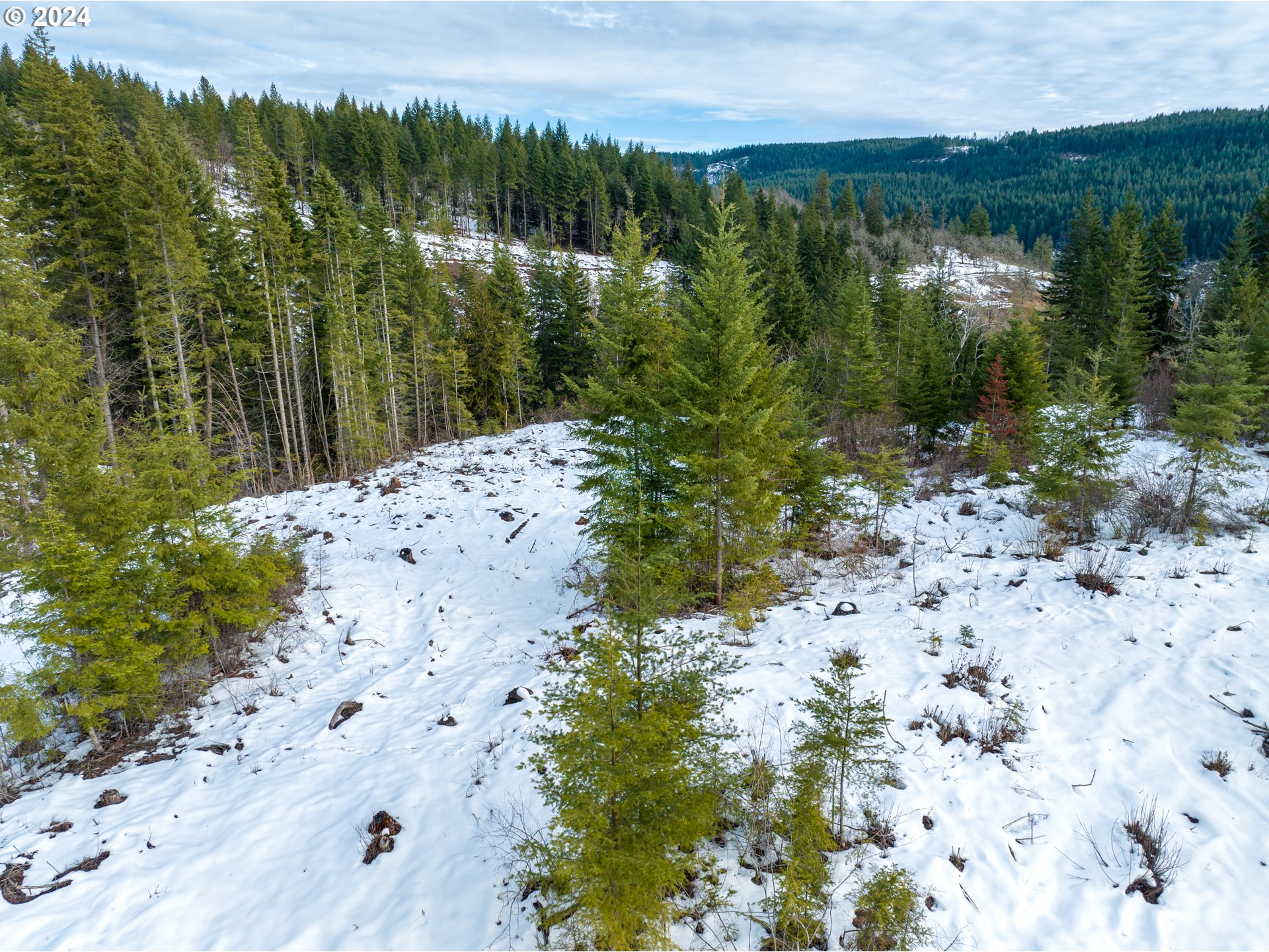 601 Rattlesnake Road White Salmon, WA 98672 - Photo 8 of 9 Gallery Image 8