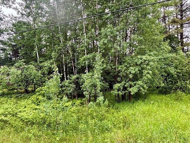 1.03-acres County Rd X Schofield, WI 54476 - Photo 3 of 10
