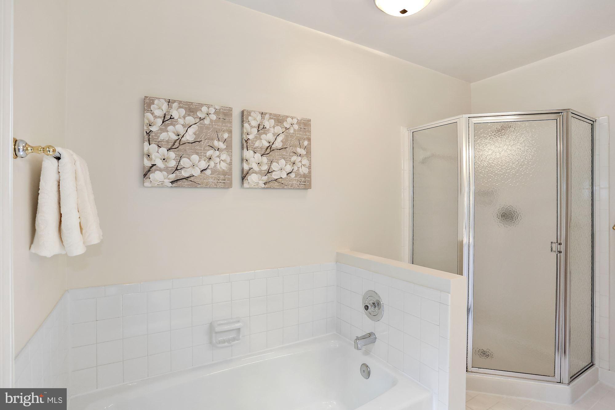 2677 Marcey Road Arlington, VA 22207 - Photo 28 of 43 Tub and Shower in Primary Bath