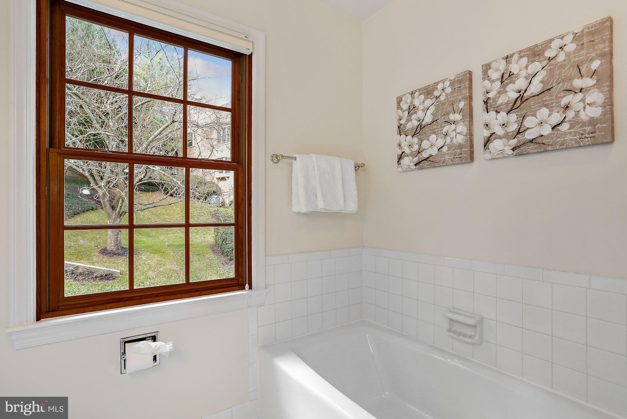 2677 Marcey Road Arlington, VA 22207 - Photo 31 of 43 Sun-drenched Primary Bath