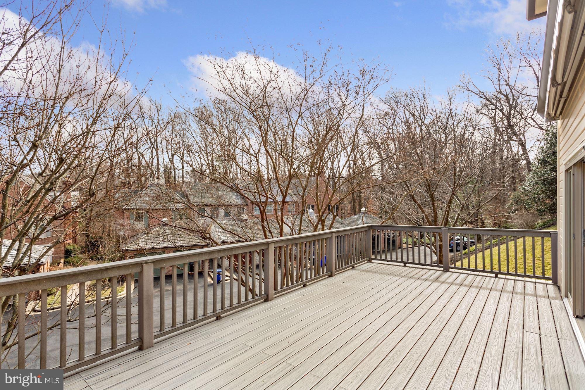 2677 Marcey Road Arlington, VA 22207 - Photo 43 of 43 Mature Trees Offer Privacy off New Deck