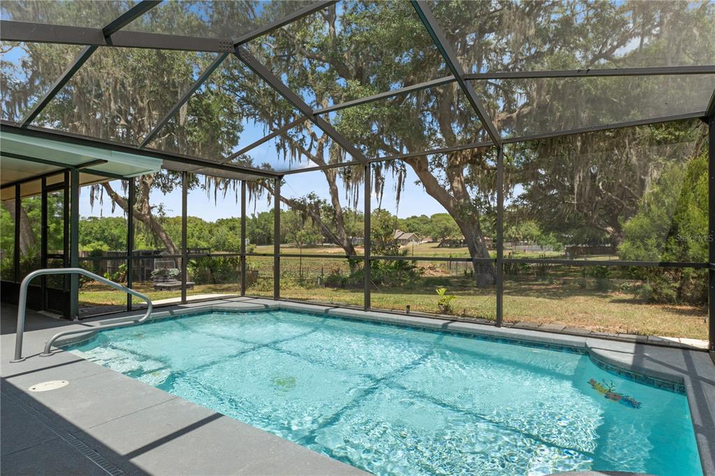 2481 South Summerwood Point Inverness, FL 34450 - Photo 2 of 38 a view of outdoor space with swimming pool