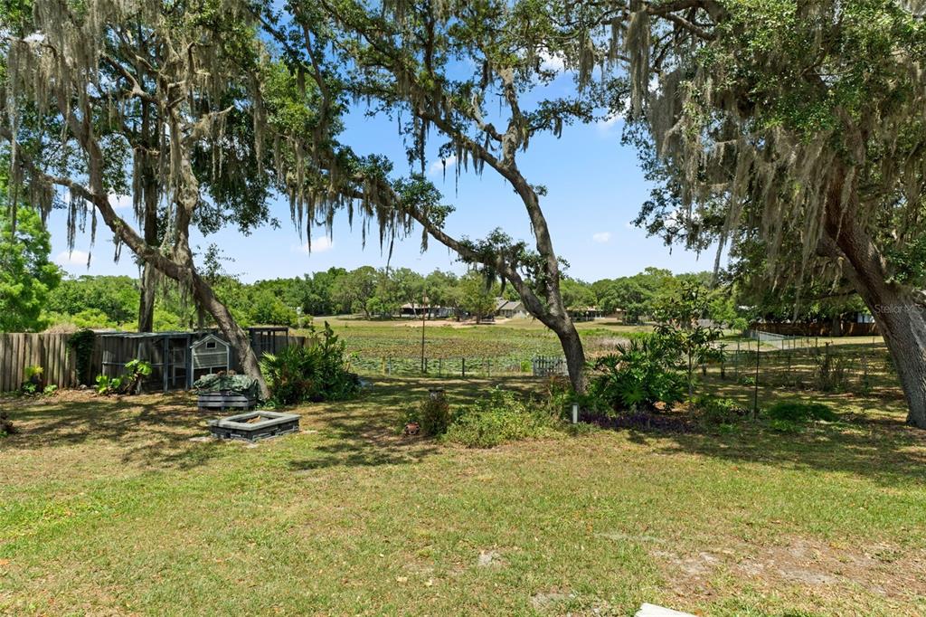 2481 South Summerwood Point Inverness, FL 34450 - Photo 35 of 38 a backyard of a house with lots of green space