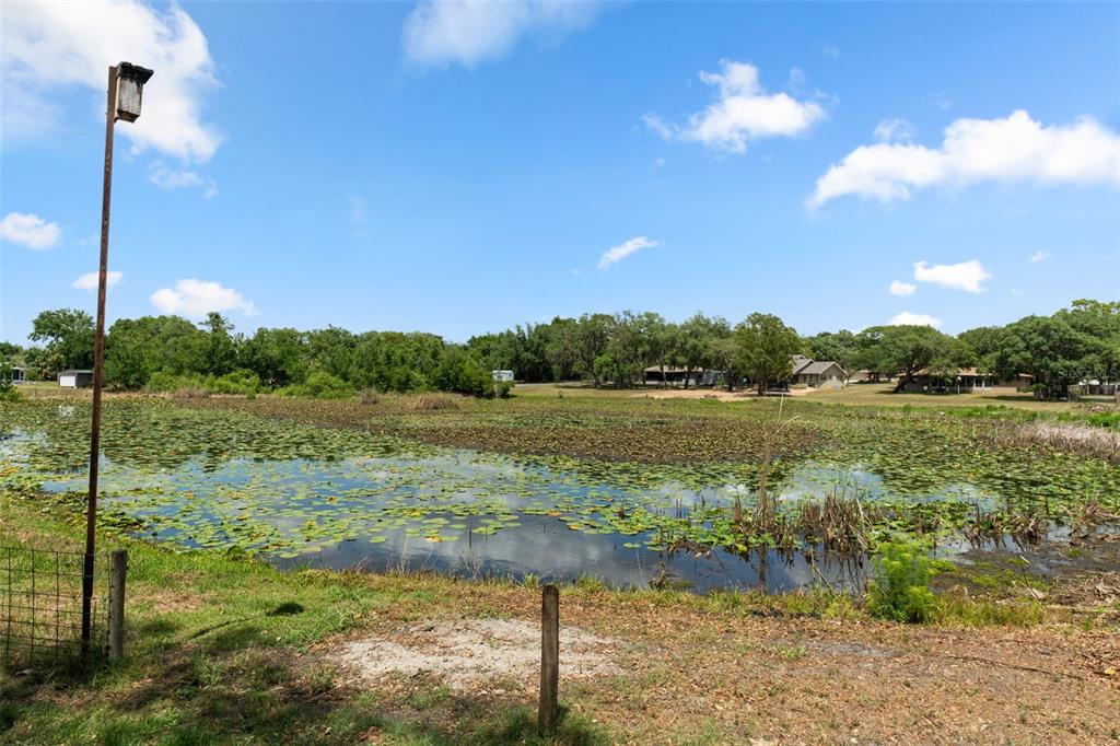 2481 South Summerwood Point Inverness, FL 34450 - Photo 38 of 38 a view of a lake from a yard