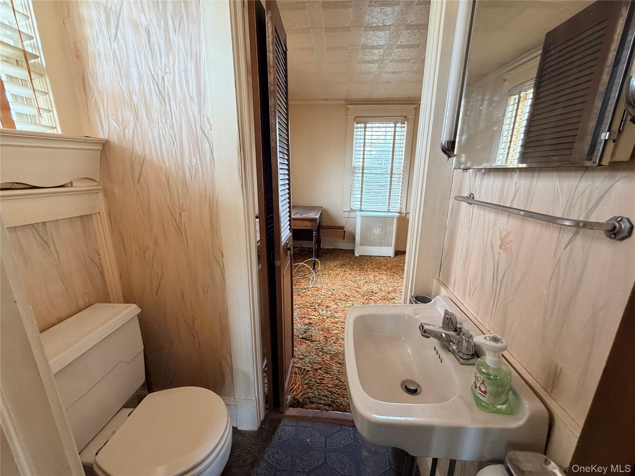 245 Woodbury Road Hicksville, NY 11801 - Photo 19 of 37 a bathroom with a sink a toilet and a mirror