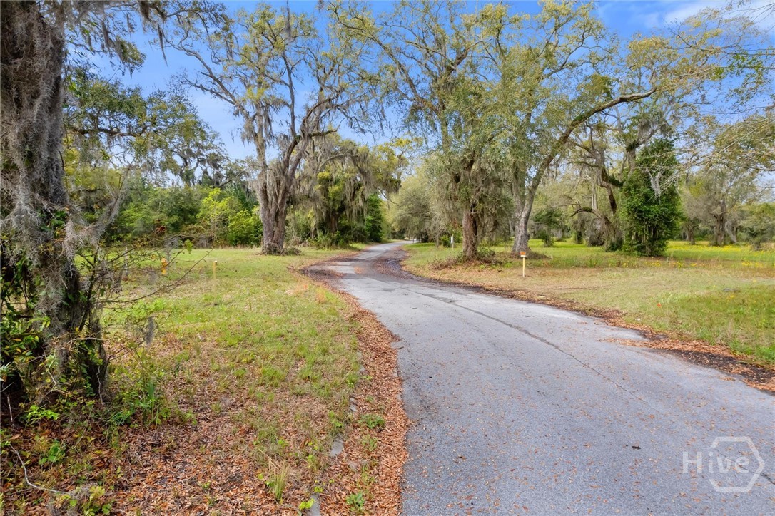 Lot 27 Cattle Hammock Road Midway, GA 31320 - Photo 6 of 30