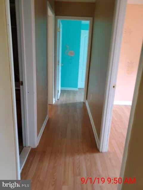 910 Clark Corner Road Centreville, MD 21617 - Photo 14 of 16 Gallery Image 14