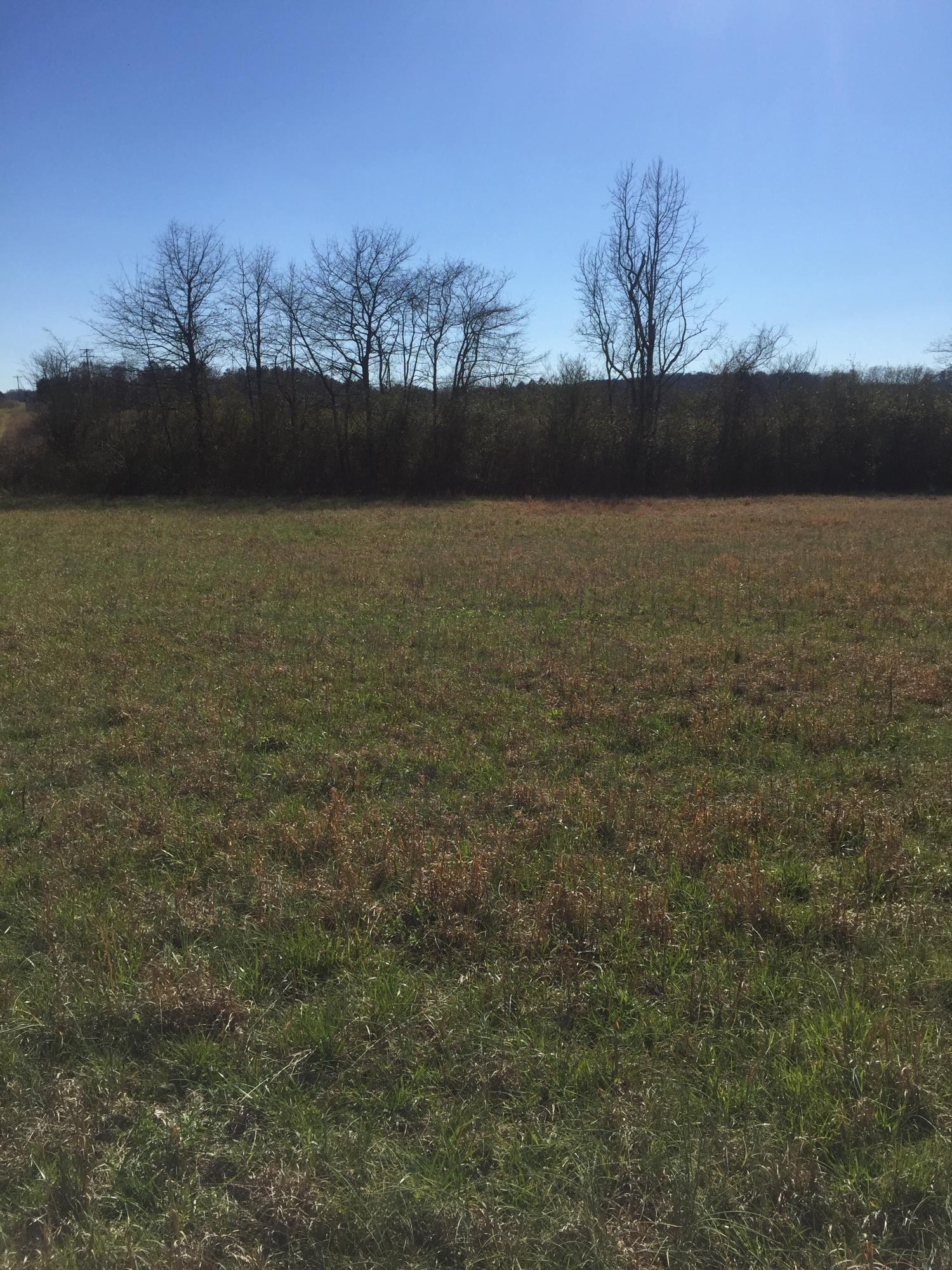2 Alloway Road Benton, TN 37307 - Photo 3 of 7 Gallery Image 3