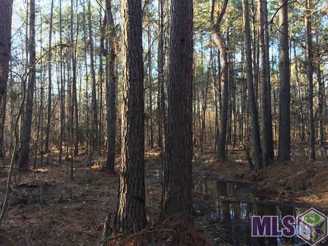 900 Freewoods Road Southwest Roxie, MS 39661 - Photo 1 of 8 Gallery Image 1