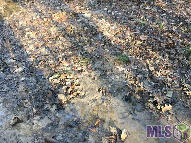 900 Freewoods Road Southwest Roxie, MS 39661 - Photo 2 of 8 Gallery Image 2