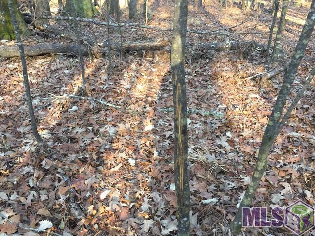 900 Freewoods Road Southwest Roxie, MS 39661 - Photo 3 of 8 Gallery Image 3