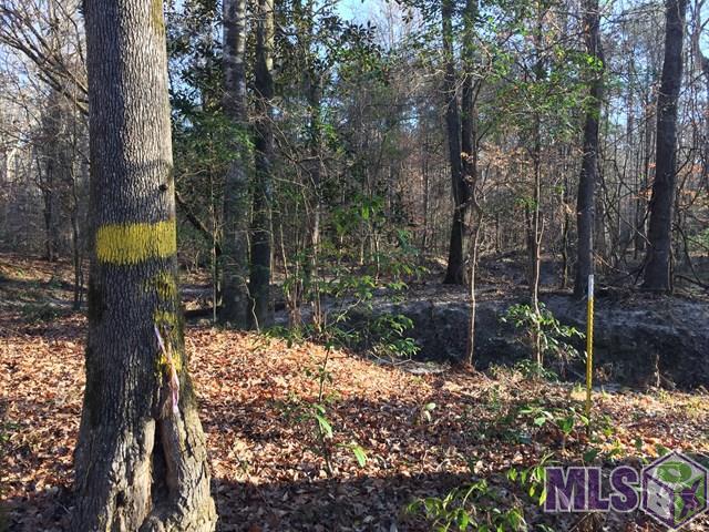 900 Freewoods Road Southwest Roxie, MS 39661 - Photo 4 of 8 Gallery Image 4
