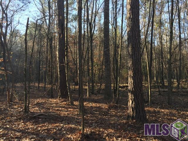 900 Freewoods Road Southwest Roxie, MS 39661 - Photo 8 of 8 Gallery Image 8