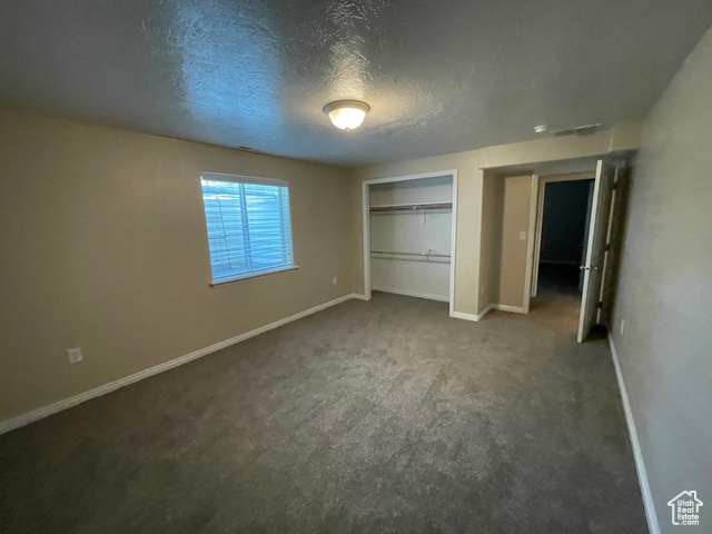 11473 South Dempsey Creek Road Lava Hot Springs, ID 83246 - Photo 32 of 47 Unfurnished bedroom featuring carpet floors, a textured ceiling, and a closet