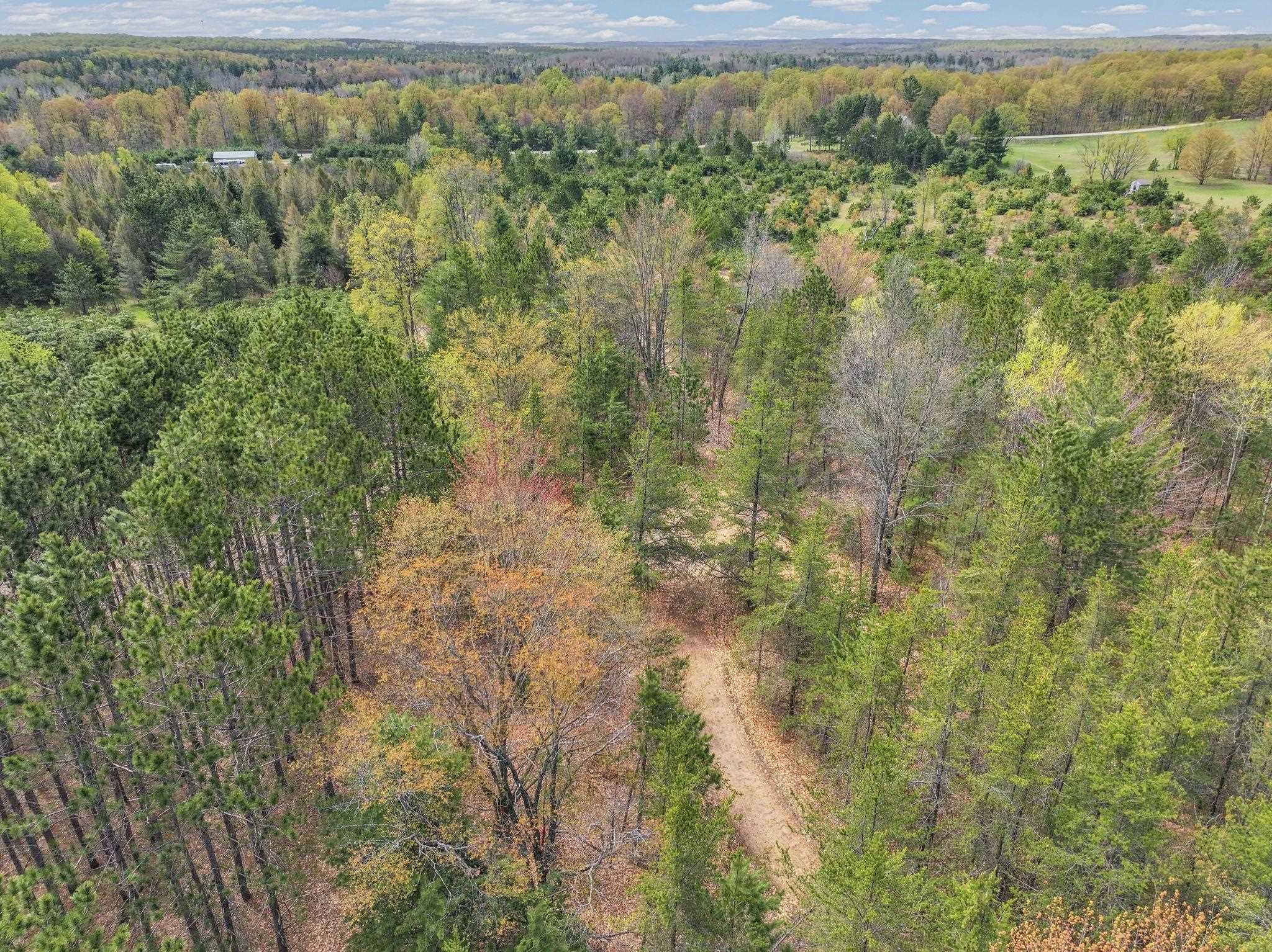 22386 16 Mile Road Leroy, MI 49655 - Photo 46 of 63
