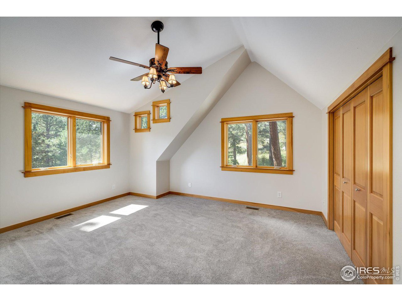 845 Cold Springs Road Nederland, CO 80466 - Photo 25 of 38 Gallery Image 25