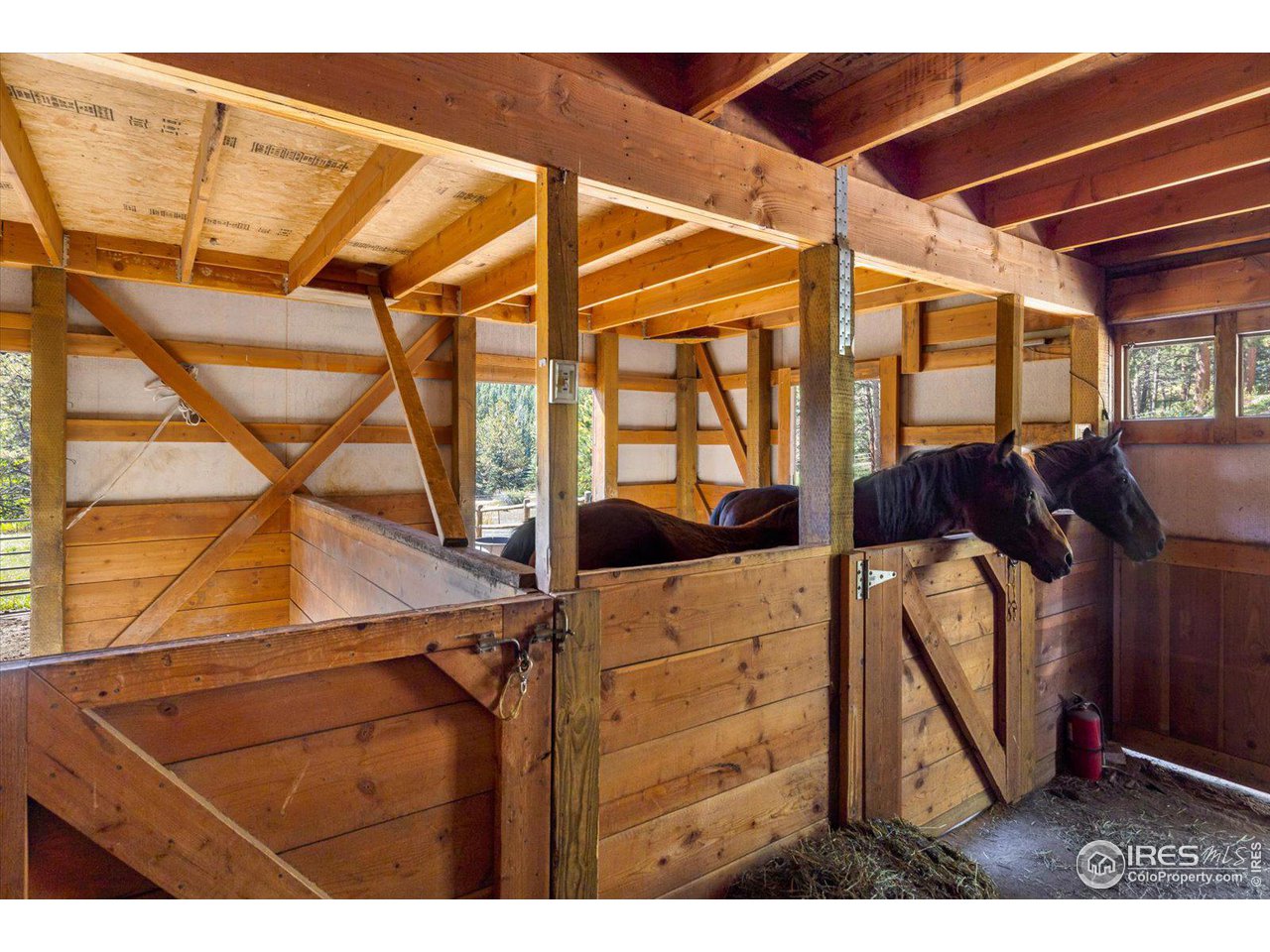 845 Cold Springs Road Nederland, CO 80466 - Photo 34 of 38 Gallery Image 34