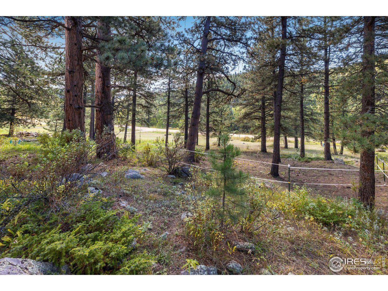 845 Cold Springs Road Nederland, CO 80466 - Photo 35 of 38 Gallery Image 35