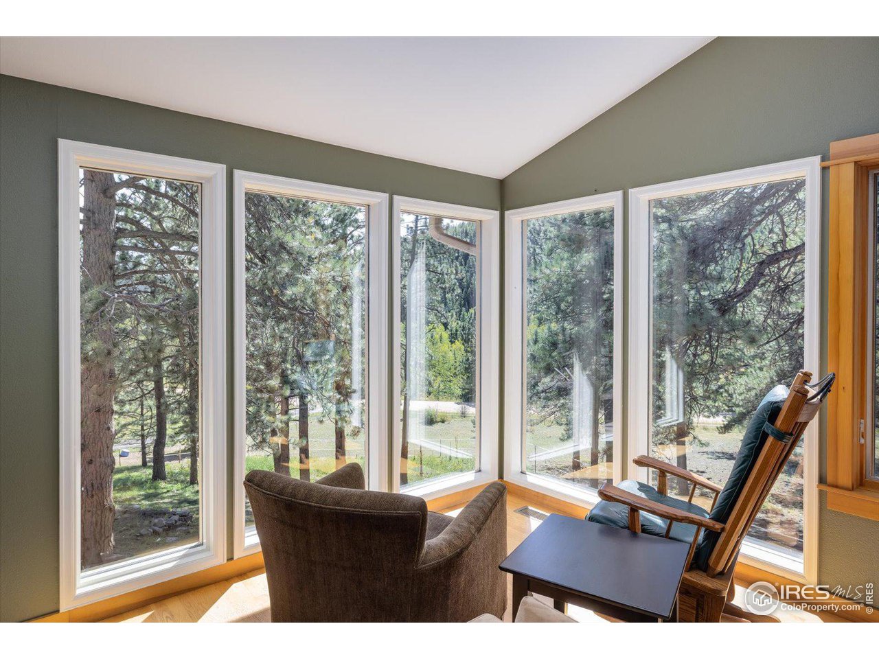 845 Cold Springs Road Nederland, CO 80466 - Photo 8 of 38 Gallery Image 8