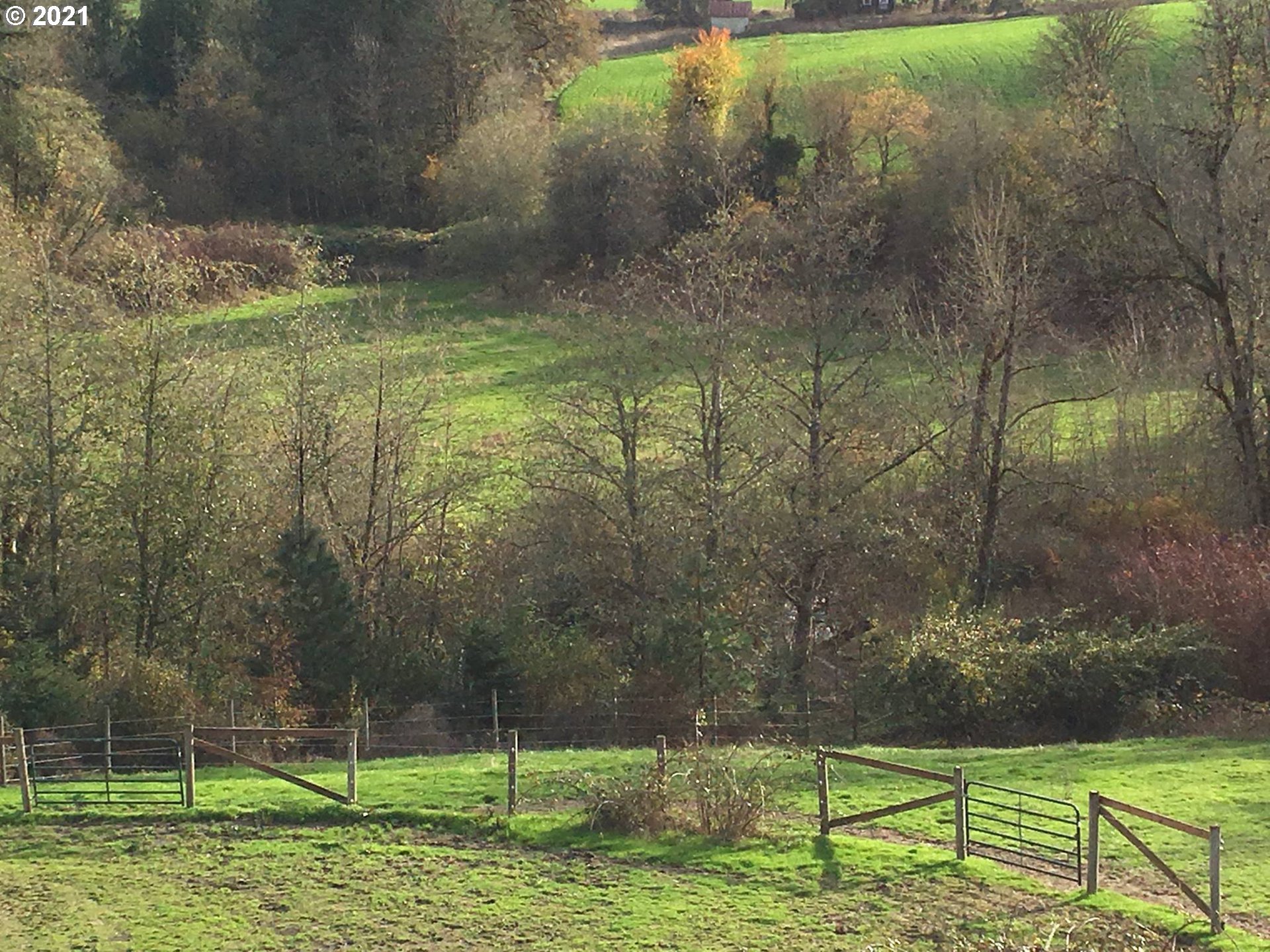 15248 Northwest Germantown Road Portland, OR 97231 - Photo 15 of 28