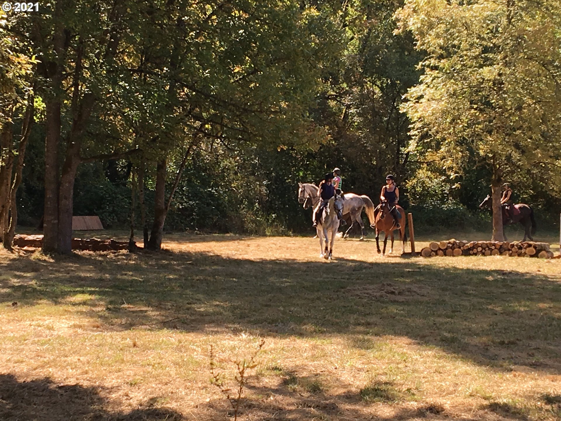 15248 Northwest Germantown Road Portland, OR 97231 - Photo 19 of 28