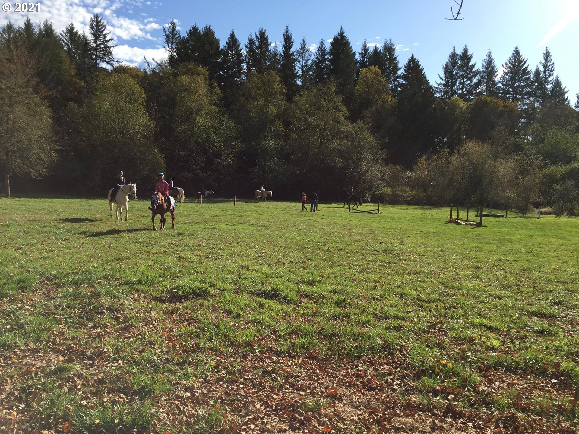 15248 Northwest Germantown Road Portland, OR 97231 - Photo 20 of 28