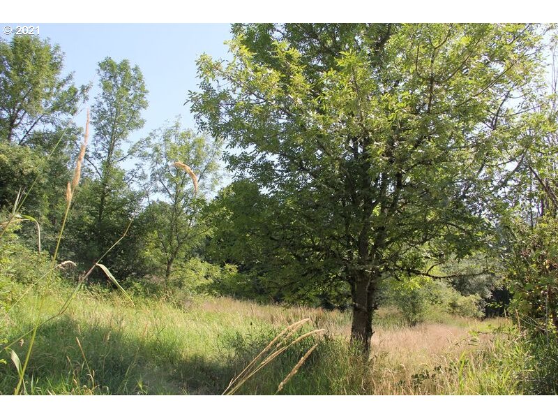 15248 Northwest Germantown Road Portland, OR 97231 - Photo 26 of 28