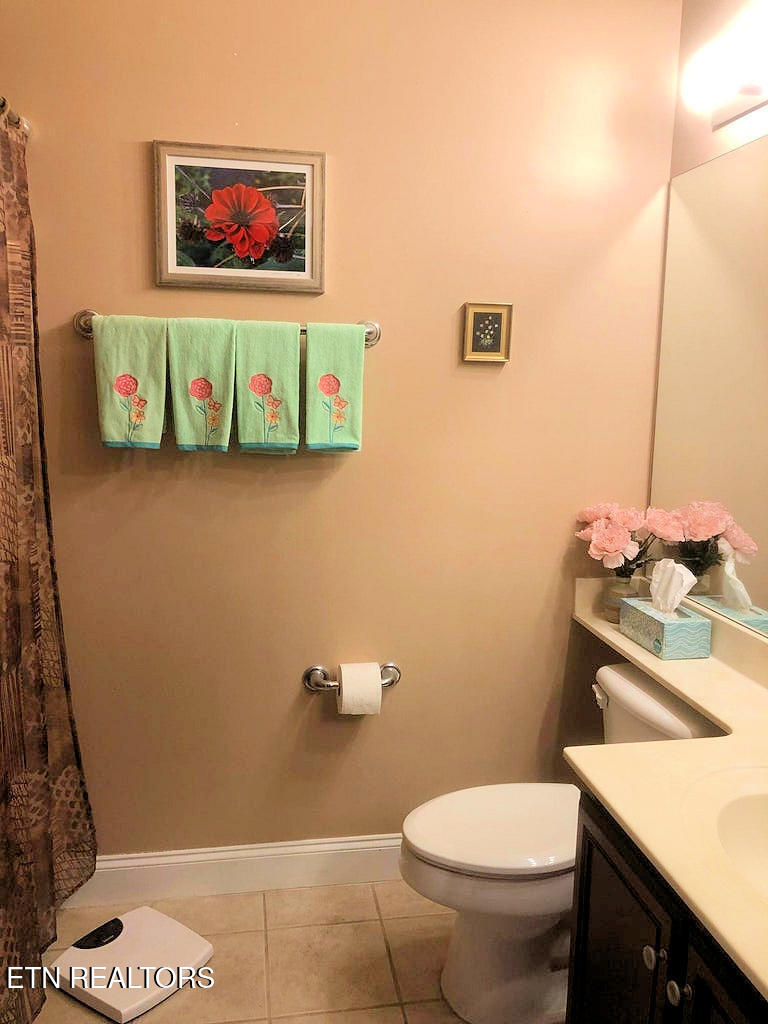 555 Rarity Bay Parkway, Unit 302 Vonore, TN 37885 - Photo 16 of 22 302 guest bath