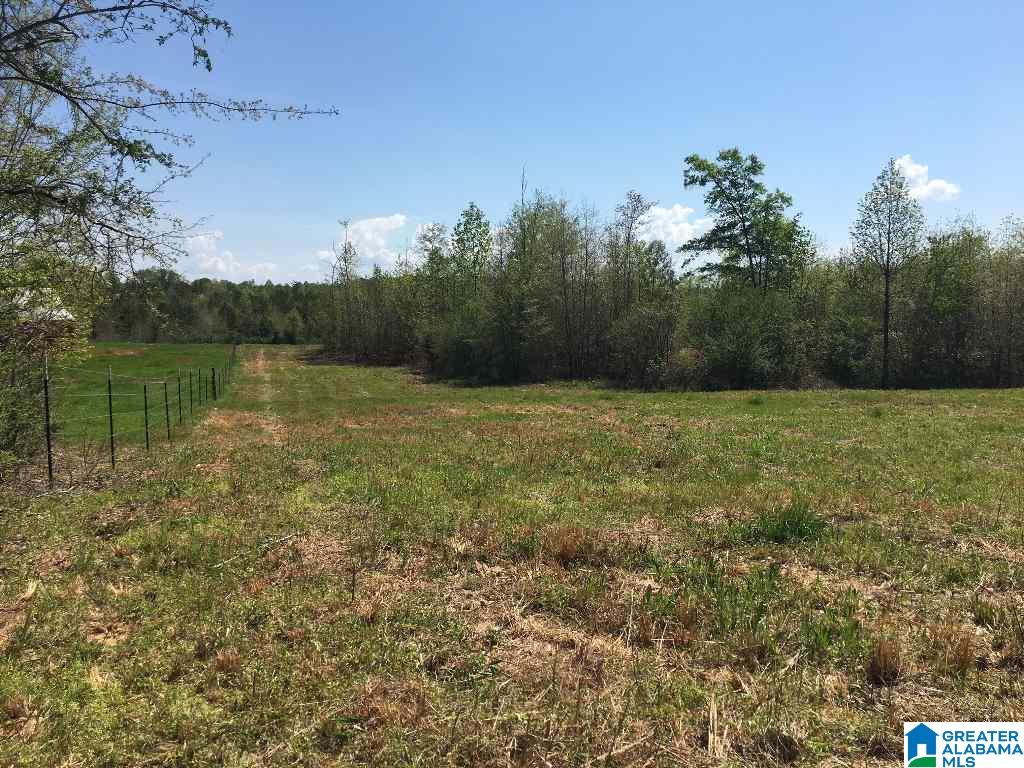 East Mill Street, Unit 37 Lineville, AL 36266 - Photo 5 of 15