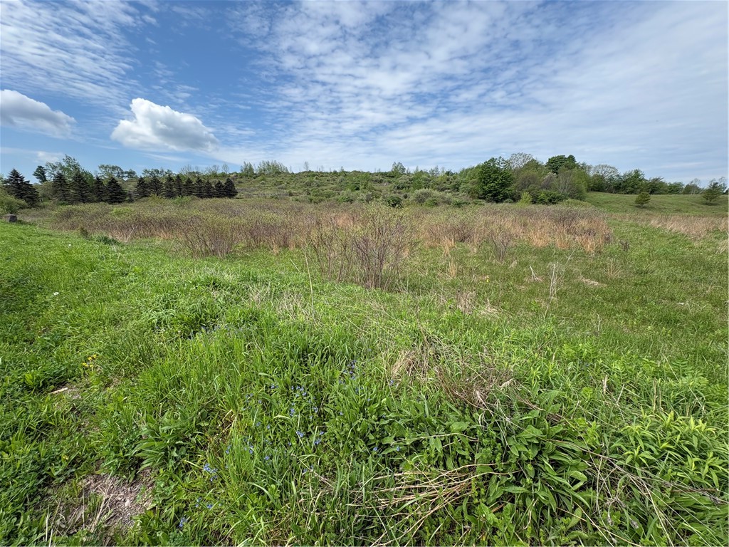 36 County Road Guilford, NY 13780 - Photo 10 of 38